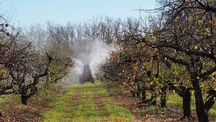 Sprühgerät Obstbau